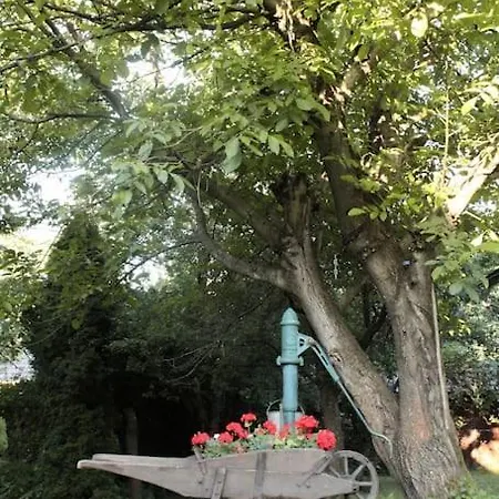 Drevenice U Azzyho Holiday home