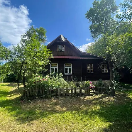 Drevenice U Azzyho Holiday home Lacnov