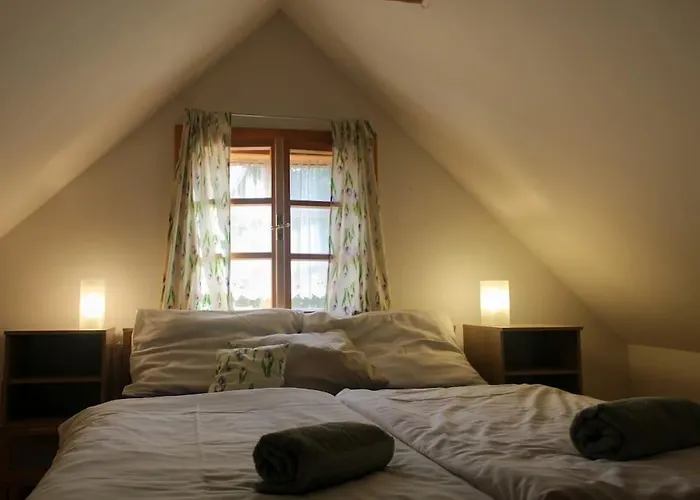 Drevenice U Azzyho בית נופש Lacnov