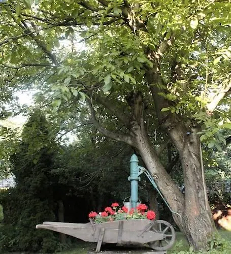 Drevenice U Azzyho בית נופש